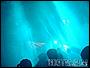 Alive Festival 2002 - St Vith - 26 & 27 July