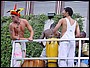 City Parade 2002 - Lige