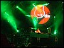 www.noctis.com