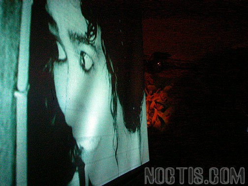 www.noctis.com