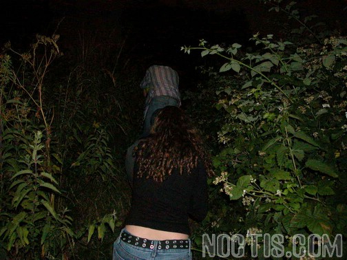www.noctis.com