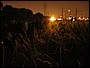www.noctis.com