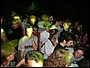 www.noctis.com