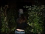 www.noctis.com